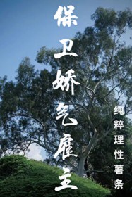 保卫娇气雇主