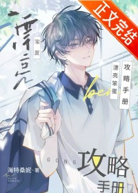 漂亮笨蛋攻略手册